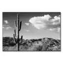 Saguaro Cactus Sunrise #1
