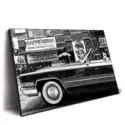 Classic Car #2