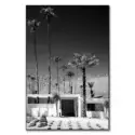 Palm Springs Midcentury Modern #1