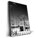 Palm Springs Midcentury Modern #2