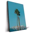 Oasis #2