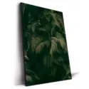 Palm Forest #2