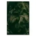 Palm Forest #1