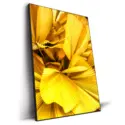 Yellow Palm Leaves #2