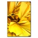 Yellow Palm Leaves #1