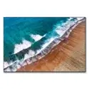 Coral Reef Beach #1