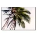 Tropical Palm Trees #1