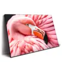 Between the Pink Wings #2