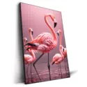 Flamingos #2
