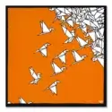 My Theory on Birds #1