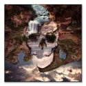 Canyon Skull #1