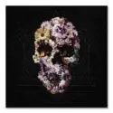 Yayla Skull #1