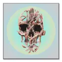 Hands Skull #1