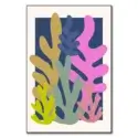 Coral #1