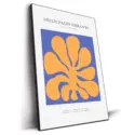 Orange Cosmos #2