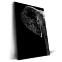 Elephant Black Edition #2