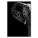 Elephant Black Edition #1