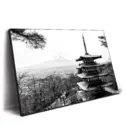 Chureito Pagoda Japan #2