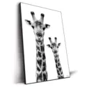 Giraffe and Baby White Edition #2