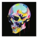 Colorful Skull Black #1