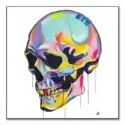 Colorful Skull #1