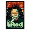 Bob Marley Elevated Minds #1