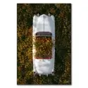 Cadillac in Flowers #1