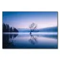 Wanaka Tree #1