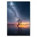 Wanaka Tree Milky Way #1