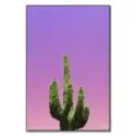 Cactus #1