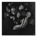 In Bloom II #1