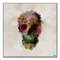 Skull #1
