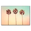 Iconic Palms #1