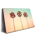 Iconic Palms #2