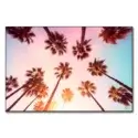 Beverly Hills Sunset Palms #1
