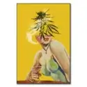 Merry Jane #1