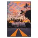 Palm Skies #1