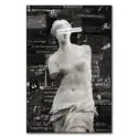 Venus #1