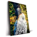 Root Beer Falls #2