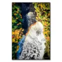 Root Beer Falls #1