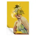Merry Jane #3