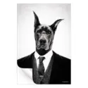 Black Dog #3