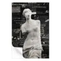 Venus #3