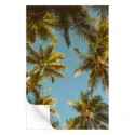Palm Tree Sky #3