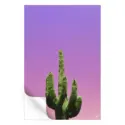 Cactus #3