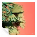Growth v3 #3