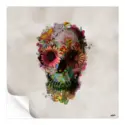 Skull #3