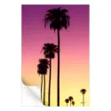 Sunset Palm Trees #3