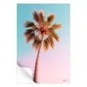 The Pastel Palm #3
