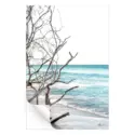 The Wild Beach #3